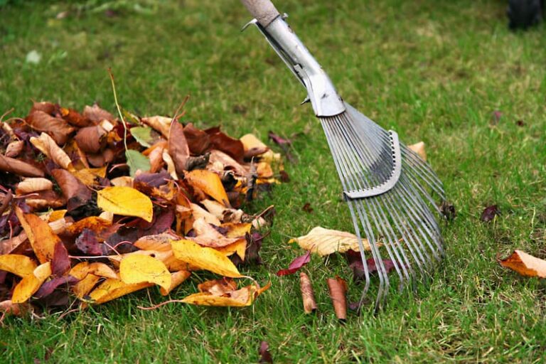 seasonal-cleanup